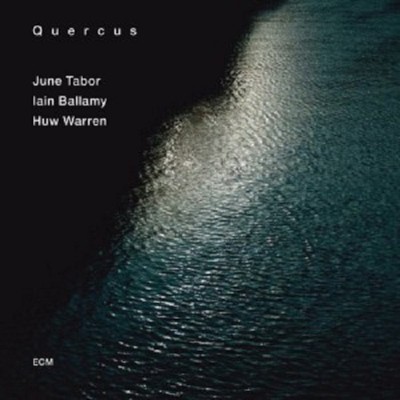 JUNE TABOR/IAIN BALLAMY/HUW WARREN - QUERCUS  CD  11 TRACKS MODERN JAZZ  NEU 