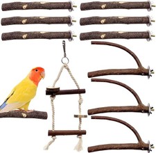 Natural Wood Parrot Perch Set
