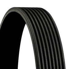 CONTINENTAL CTAM Keilrippenriemen 8PK1390 f�r BMW
