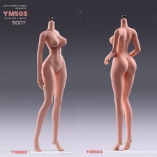 US 1/6 Big Breast Tall Girl Seamless Body For 12"Female Action Figure Doll YM503