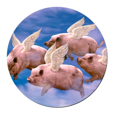 FUNNY FLYING PIGS ANIMAL Pendant Charm On 925 Sterling Silver 20'' Necklace Gift