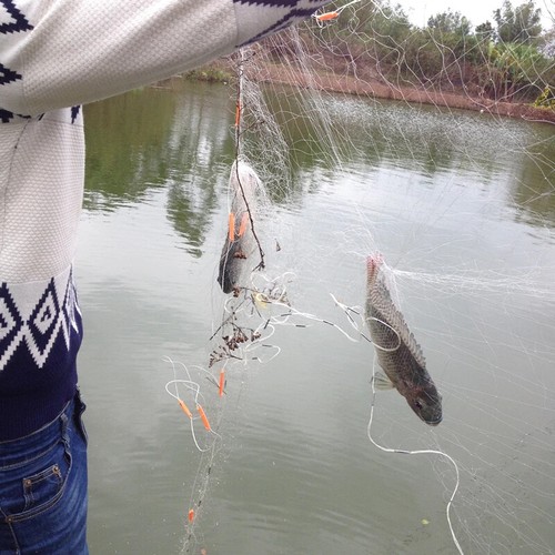 A Pack of Three-layer Fishing Net with Pontoons River Fish Trap Sinking Net - Picture 14 of 20