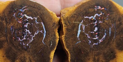 Australian Winton boulder opal split pair 202ct pink red purple matrix rough 2pc