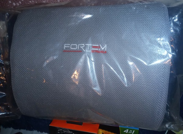 fortem lumbar support