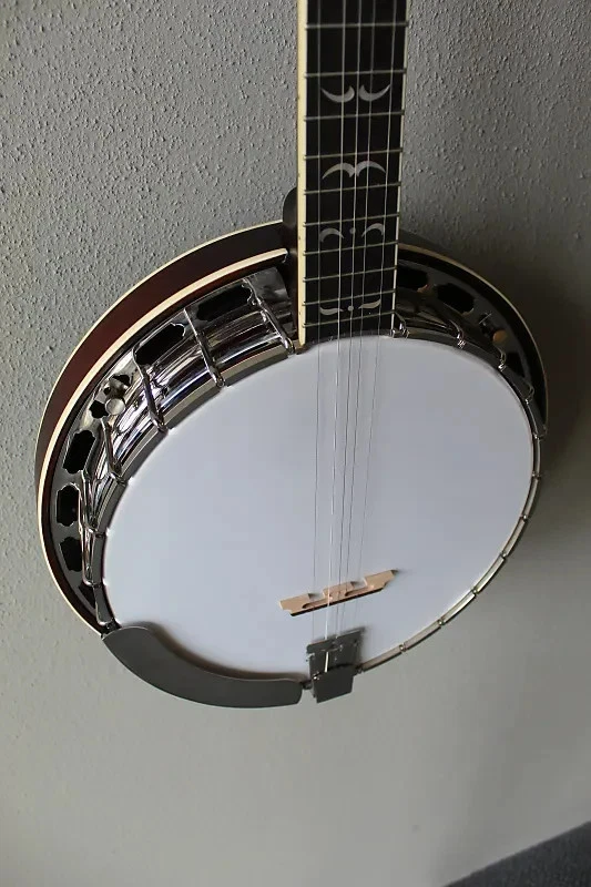 Brand New Recording King RK-R35-BR Madison 5-String Resonator Banjo with Case - Image 4 of 4