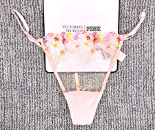 Victoria's Secret Dream Angels NWT Medium Pink Bloom Embroider V String Panty