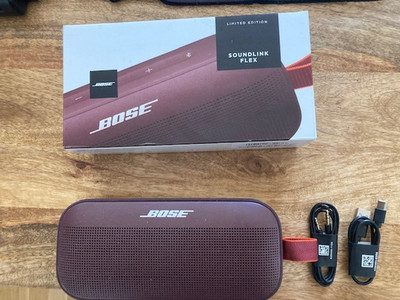 Bose Flex Sound Link