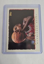 1994-95 Topps - B.J. Armstrong #245