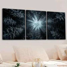 3pcs Fashion Forest Sky Trees Blue Clouds Black Wall Art Canvas Framed 50x70cm