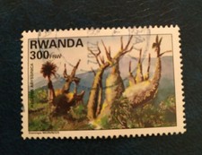 Rwanda -1995 Native Plants - Hagenia abyssinica - arbre - oblitéré