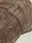 Wonderstone Rhyolite Rough Slabs • Banded WonderStone For Cabbing Jasper — photo 5