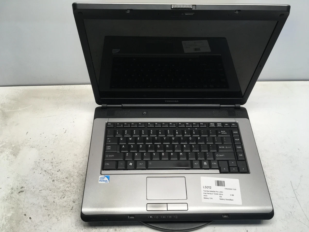 Toshiba Satellite L300 L300D Series LCD Display Dalle Ecran