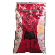 VINTAGE 1960s NWT Deadstock ASHBROOK BRIEF PANTY Nylon ALL LACE Panties NEW S-XL