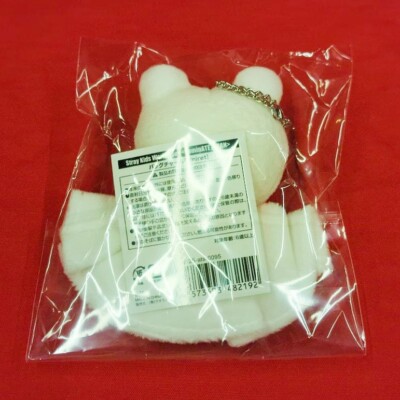 Stray Kids World Tour dominATE JAPAN 2025 Official MD BAG CHARM | eBay