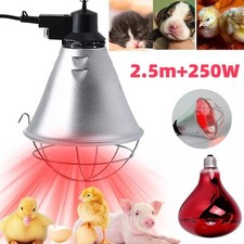 250W Infrared Heat Lamp