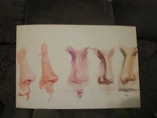 Original Watercolor By Peg Humphreys, A Study in Noses (on a board) 30"x 20"
