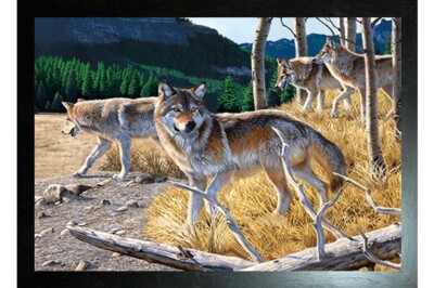BLACK FRAMED WOLF PACK - 3D PICTURE PRINT 425mm x 325mm