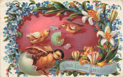 c1910 Chicks Hatching Forget Me Nots Lilies Embossed Easter P283