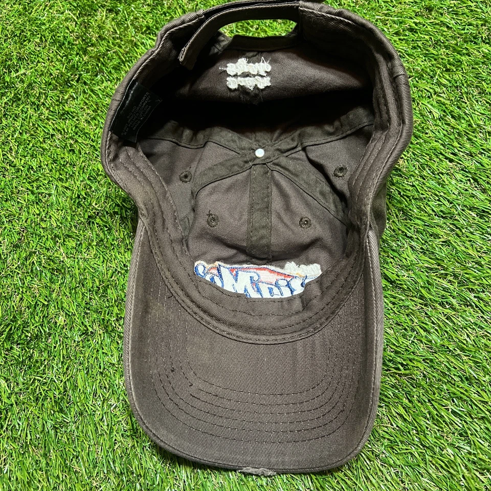 Sombrero Dale Earnhardt Jr Para Hombre Correa Marrón Big Mo Candy Nascar Racing Foto 4 de 4