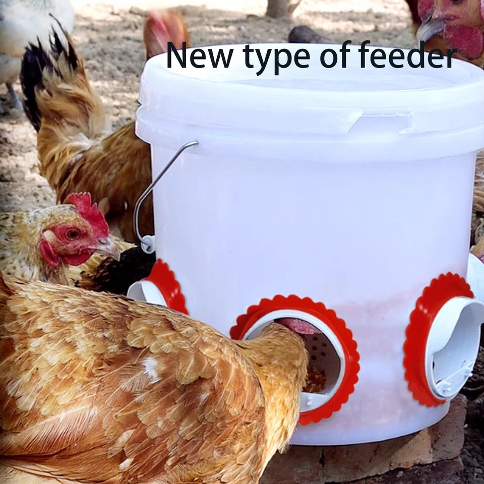 Alimentador automático de pollos 10 piezas sin puerto de residuos para alimentación Foto 2 de 4