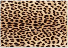 Leopard-print carpet,Premium Leopard Fluffy Rugs,Girls Room Decor Cheetah Print