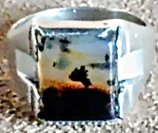 LARGE VINTAGE WHEELER MFG STERLING SILVER & DENDRITIC MOSS PLUME AGATE RING sz 8