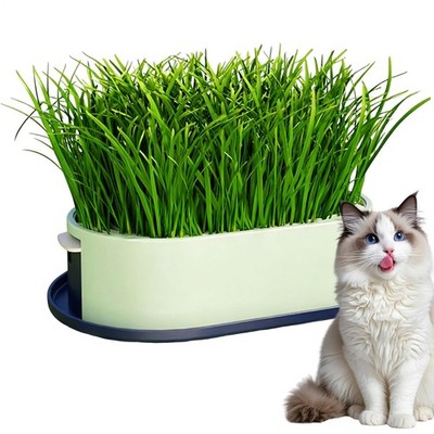 Katzengras-Tablett, Hydrokultur-Pflanzbehälter, Katzengras-Wachstumsbox