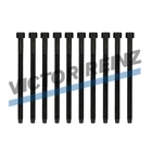 Victor Reinz  PD150 ARL Head Bolt Set  VW VAG 1.9 & 2.0 8v TDI PD Engine