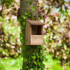 Chapel Wood Classic Robin Nest Box