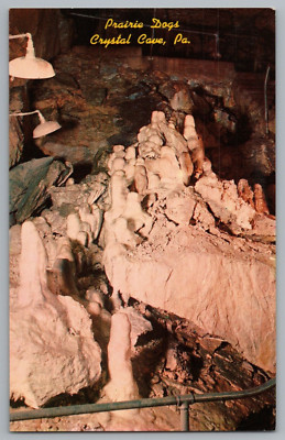 Crystal Cave Pennsylvania Prairie Dogs Formations Postcard