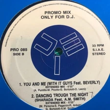 Promo Mix 85 (Rare Promo 12") Pagany, Master of Progress, With It Guys, Sharada