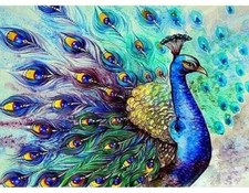 Paint By Numbers Adults kids Peacock Animals DIY Painting Kit 40x50CM Canvas