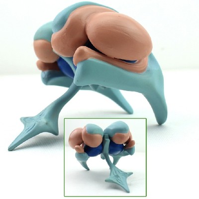 Life Size Medical Ventricles And Basal Nuclei Anatomical Model