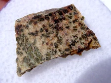 .711 grams 15x10x2mm Erg Chech 002 Meteorite ( Achondrite-ung ) slice with a COA