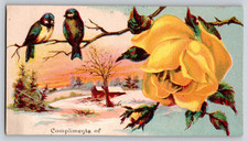 Victorian Trade Card Blue Birds Yello Rose Snow Scene Scrap 1880's Era