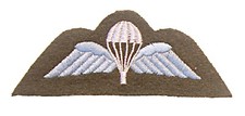 Hook (Sticky) Backed Issue PARA WINGS - Airborne Forces PARACHUTE REGIMENT