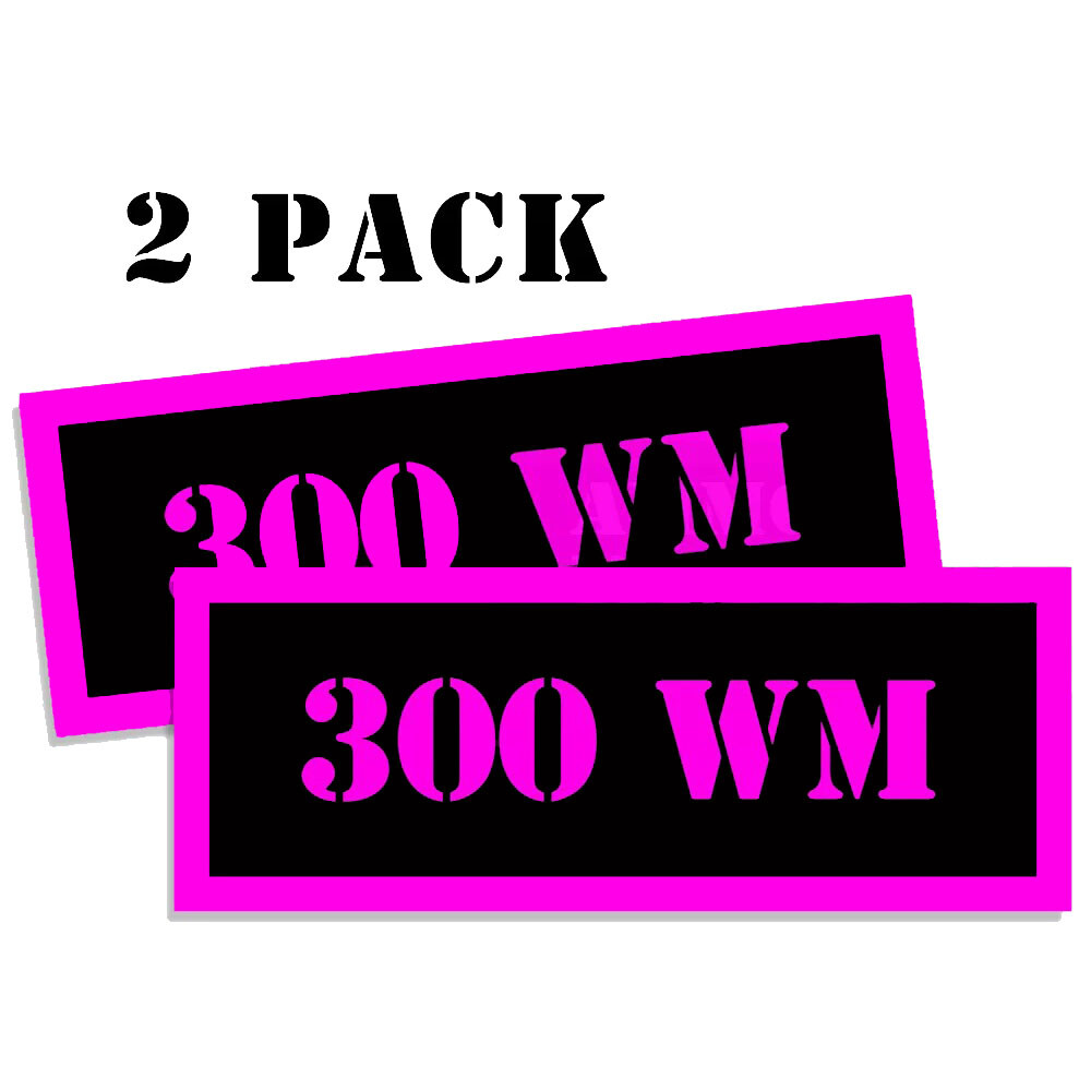 Etiqueta adhesiva de lata de munición 300 WM calcomanía munición (paquete de 2)
