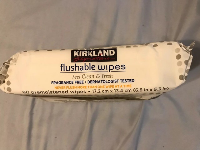 kirkland flushable wipes price