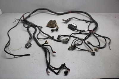 2008-2010 Polaris Rzr 800 Efi Main Engine Wiring Harness Motor Wire Loom