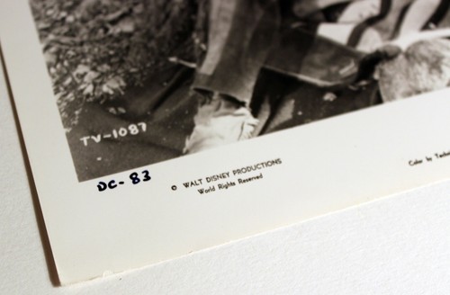 Davy Crockett at the Alamo PHOTO 1955 Fess Parker Nick Cravat Walt Disney TV - Picture 2 of 5