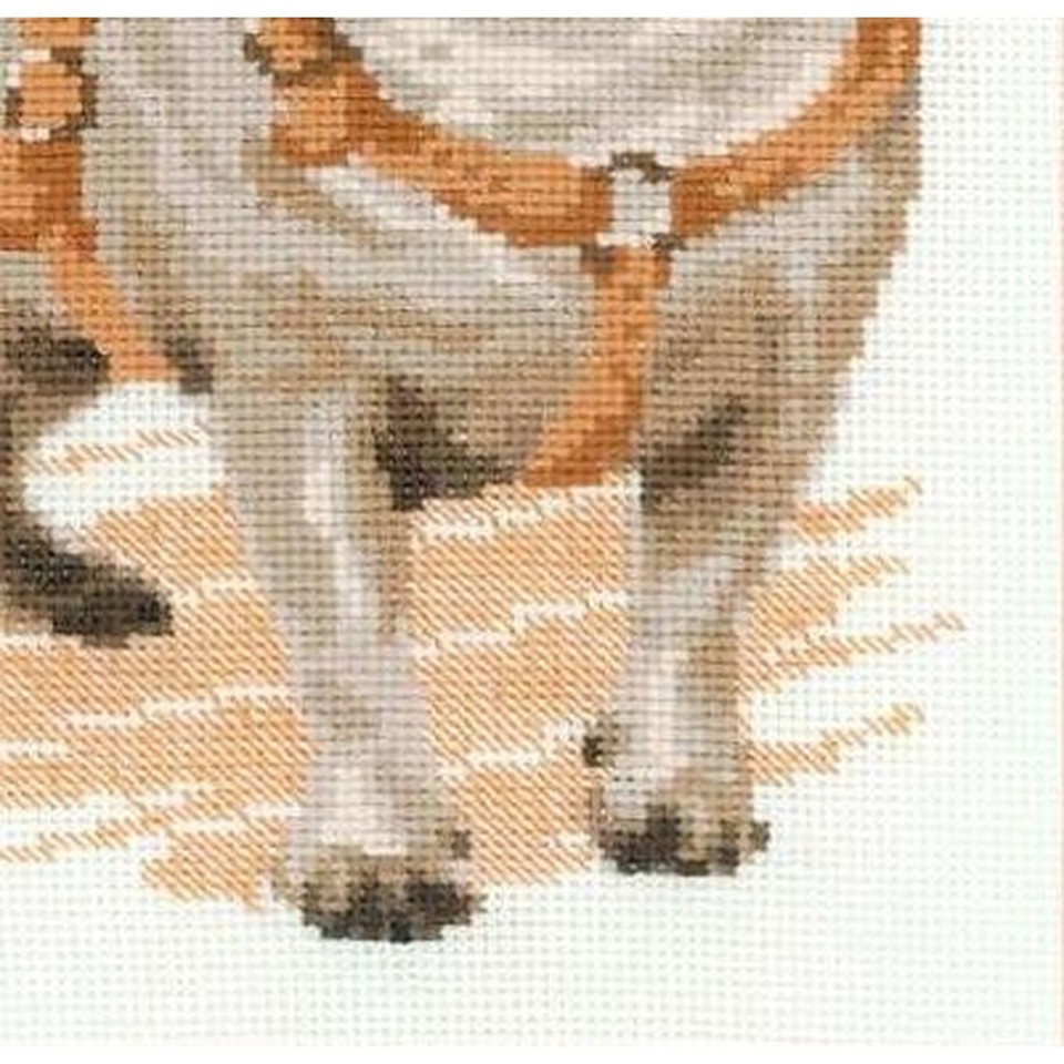 Kit Punto Croce Cane Per Principianti - Tessuto Prestampato 40x40cm Con Filo E Aghi - Foto 7