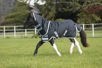 Horseware Amigo Petite Hero 600d Turnout Rug Plus & Hood Mw 200g Navy 2'9-4'0 Horseware Amigo Petite Hero 600d Turnout Rug Plus & Hood Mw 200g Navy 2'9-4'0