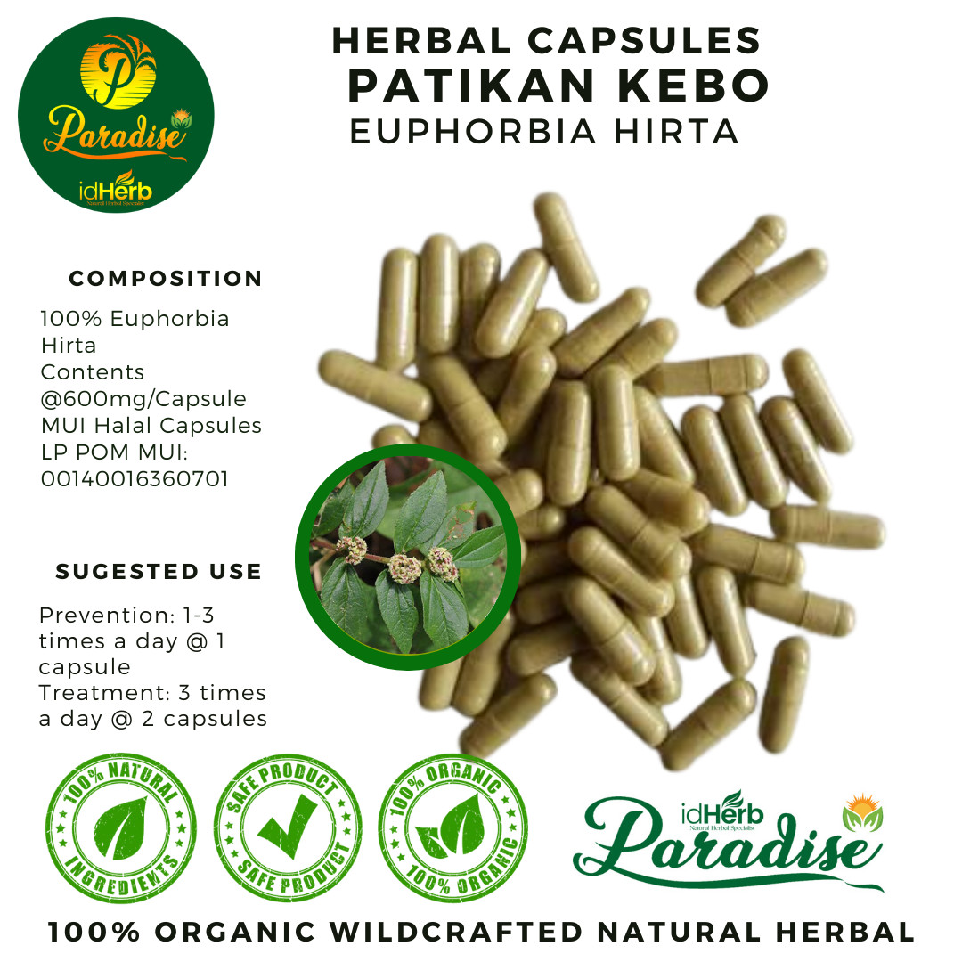 Capsule di Euphorbia Hirta 600mg - 100-500 pezzi