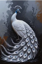 Photo Digital Product Wallpaper Image Picture Background Peacock Art For a Print