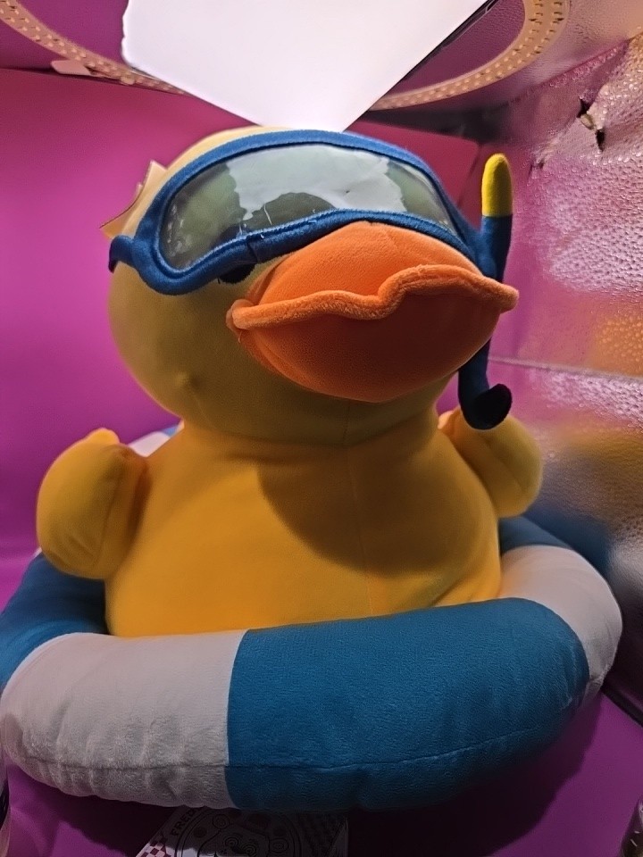 NICE! Way To Celebrate Yellow Duck Plush In Floatie Innertube 15