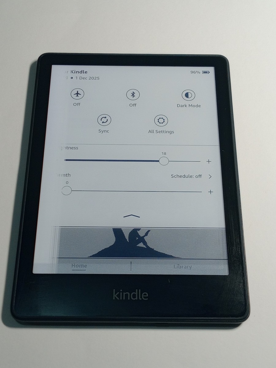 Amazon Kindle Paperwhite 11th Generation (M2L3EK)(damage) 8GB Wi