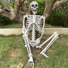 40/90cm Full Life Human Size Replica Skeleton Poseable Skeletons Halloween Decor