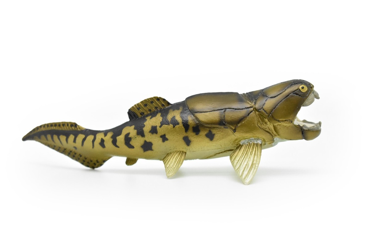 Dunkleosteus, Ancient Extinct Fish, Museum Quality Plastic Replica
