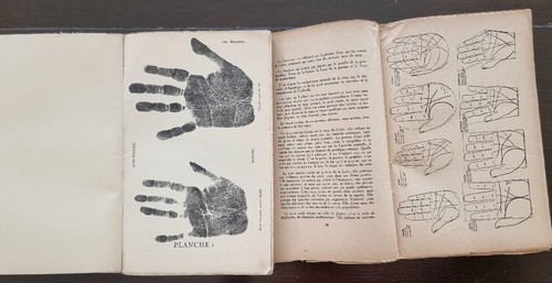 MUCHERY: La mort, les maladies, l'intelligence, l'hérédité. complet 2 volumes - Imagen 2 de 10