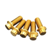 Titanium Gold 5/16" Front Brake Rotor Screws for Harley Street Bob Sportster XL